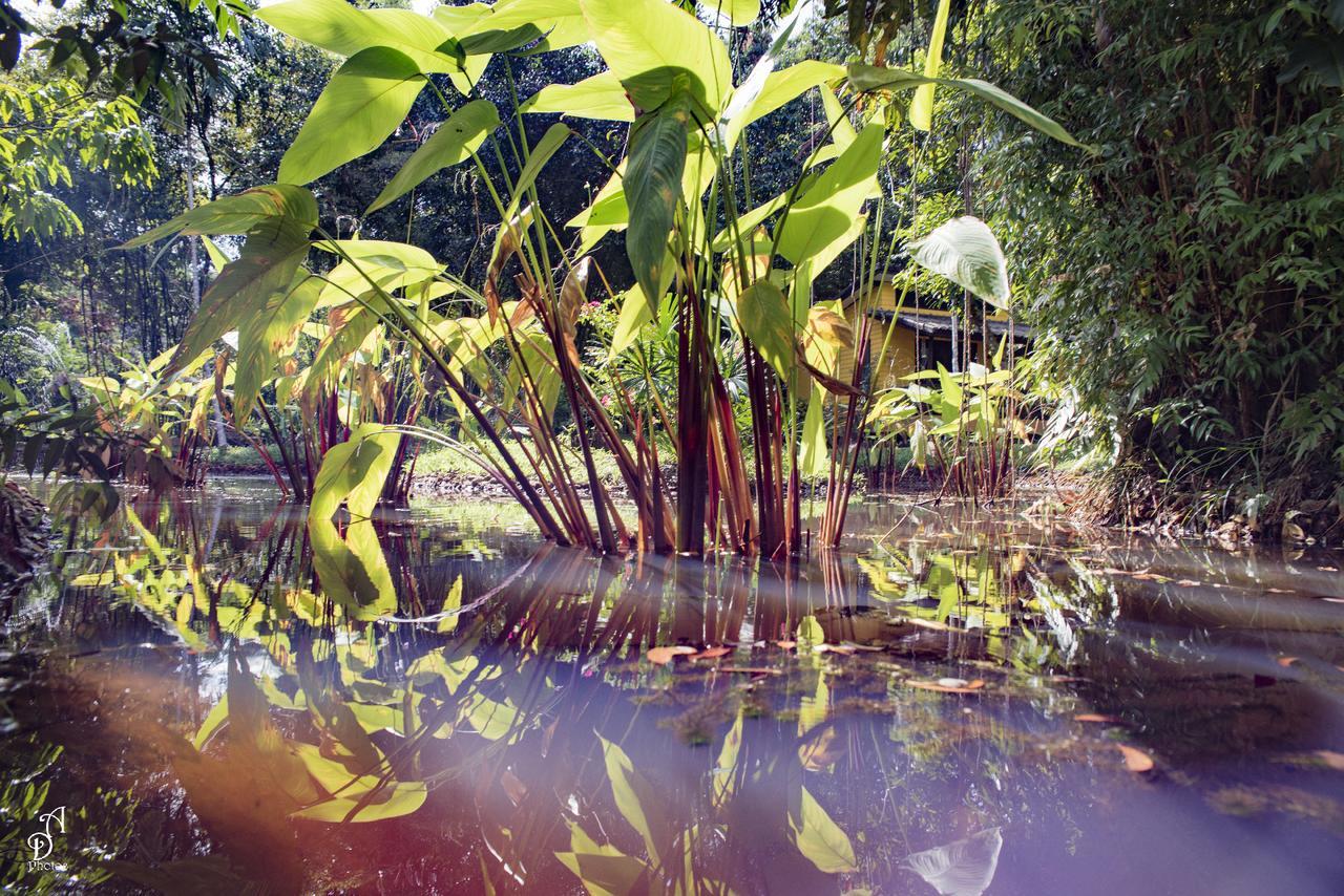 Garden Of Joy Hotel Koh Chang Exterior foto